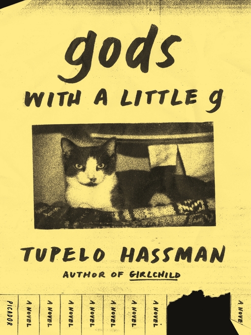 Title details for gods with a little g by Tupelo Hassman - Wait list